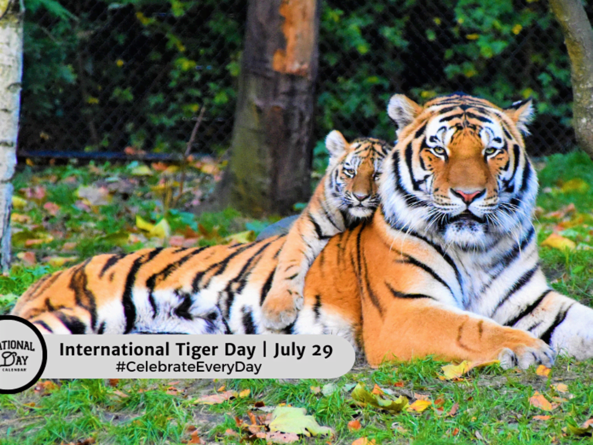 International Tiger Day